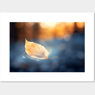 Leaf Air Nature Serene Tranquil Peaceful Posters and Art